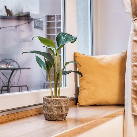 Casa Saba Luxury With Terrace * Trieste